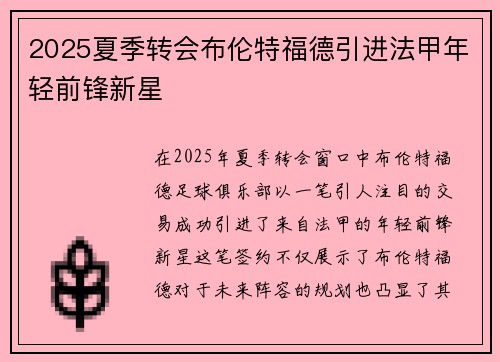2025夏季转会布伦特福德引进法甲年轻前锋新星